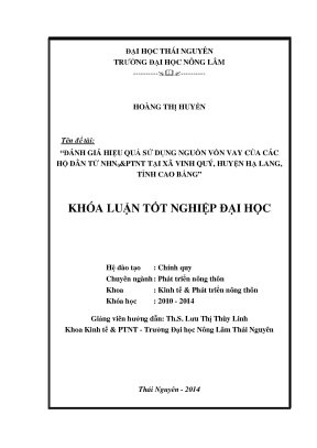 Luận văn thạc sĩ đánh giá hiệu quả sử dụng nguồn vốn vay của các hộ dân từ nhn ptnt tại xã vinh quý huyện hạ lang tỉnh cao bằng