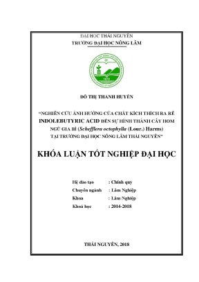Luận văn nghiên cứu ảnh hưởng của chất kích thích ra rễ iba indol butyric acid đến sự hình thành cây hom ngũ gia bì schefflera octophylla lour harms
