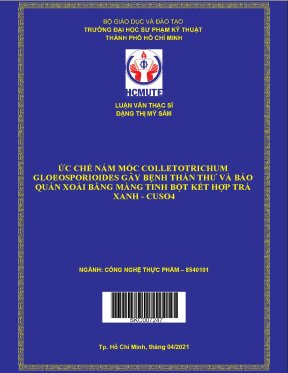 Luận văn thạc sĩ hcmute ức chế nấm mốc colletotrichum gloeosporioides gây bệnh thán thư và bảo quản xoài bằng màng tinh bột kết hợp trà xanh cuso4