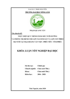 Luận văn thực hiện quy trình chăm sóc nuôi dưỡng và quản lý lợn nái sinh sản và lợn con tại trại lợn hoàng văn viện thị xã phúc yên tỉnh vĩnh phúc
