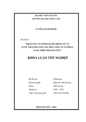 Luận văn thạc sĩ khảo sát và đánh giá hệ thống xử lý nước thải nhà máy cốc hóa công ty cổ phần gang thép thái nguyên