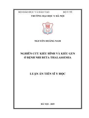 Luận án tiến sĩ nghiên cứu kiểu hình và kiểu gen ở bệnh nhi betathalassmia
