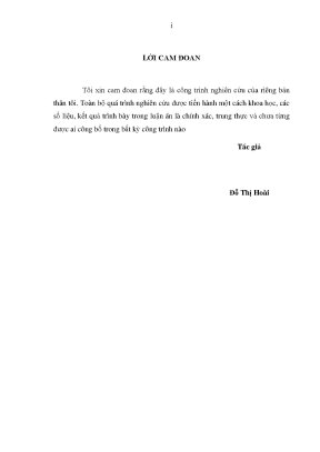 Luận án nghiên cứu các giải pháp kỹ thuật nâng cao độ chính xác của bình đồ ảnh tỷ lệ lớn từ ảnh vệ tinh độ phân giải cao