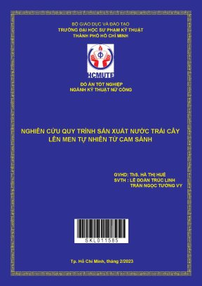 Nghiên cứu quy trình sản xuất nước trái cây lên men tự nhiên từ cam sành
