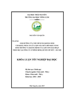 Luận văn thạc sĩ ảnh hưởng của việc bổ sung kháng sinh vào khẩu phần ăn của lợn nái chửa đến khả năng sinh trưởng và kháng bệnh của lợn con giai đoạn theo mẹ