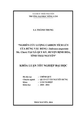 Luận văn thạc sĩ nghiên cứu lượng carbon c tích lũy của rừng vầu đắng indosasa angustata mc clure tại xã quy kỳ huyện định hóa tỉnh thái nguyên