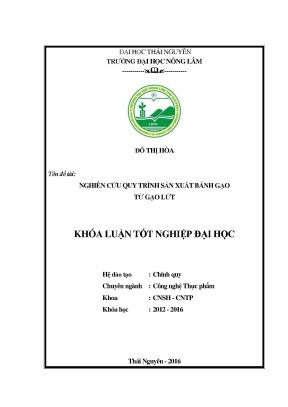 Luận văn thạc sĩ nghiên cứu quy trình sản xuất bánh gạo từ gạo lứt