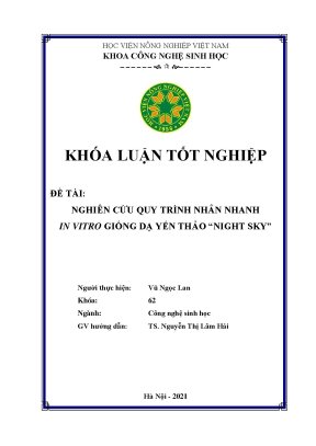 Khóa luận tốt nghiệp nghiên cứu quy trình nhân nhanh in vitro giống dạ yến thảo night sky