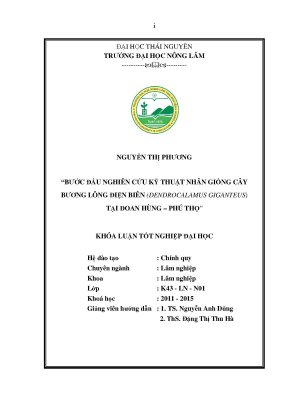 Luận văn thạc sĩ bước đầu nghiên cứu kỹ thuật nhân giống cây bương lông điện biên tại đoan hùng phú thọ
