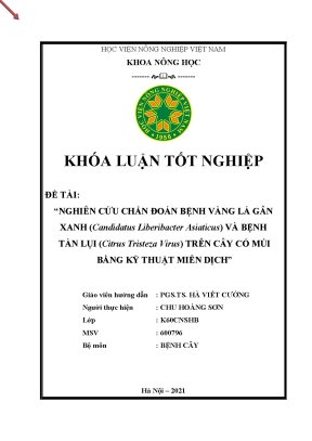 Khóa luận tốt nghiệp nghiên cứu chẩn đoán bệnh vàng lá gân xanh candidatus liberibacter asiaticus và bệnh tàn lụi citrus tristeza virus trên cây có múi bằng kỹ thuật miễn dịch