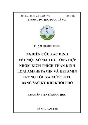Luận án tiến sĩ dược học nghiên cứu xác định vết một số ma túy tổng hợp nhóm kích thích thần kinh loại amphetamin và ketamin trong tóc và nước tiểu bằng sắc ký khí khối phổ